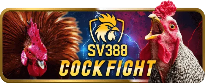 Hình ảnh bayvip casino về hỗ trợ khách hàng